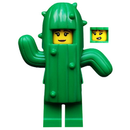 Cactus Girl, Series 18 | col322