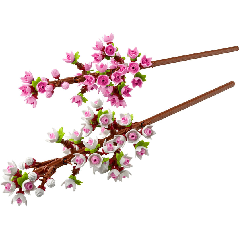 Cherry Blossoms | Creator | 40725