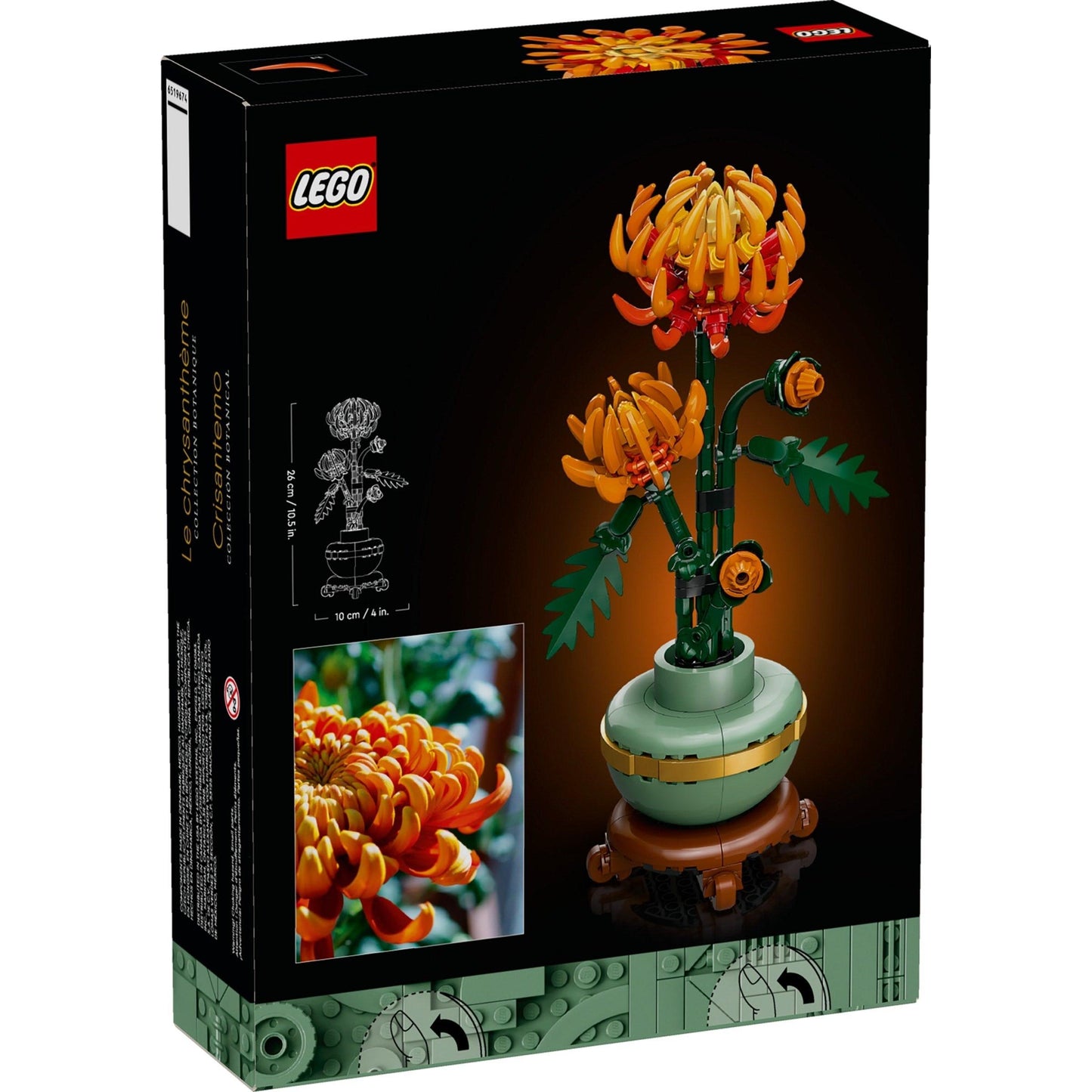 Chrysanthemum | Icons | 10368