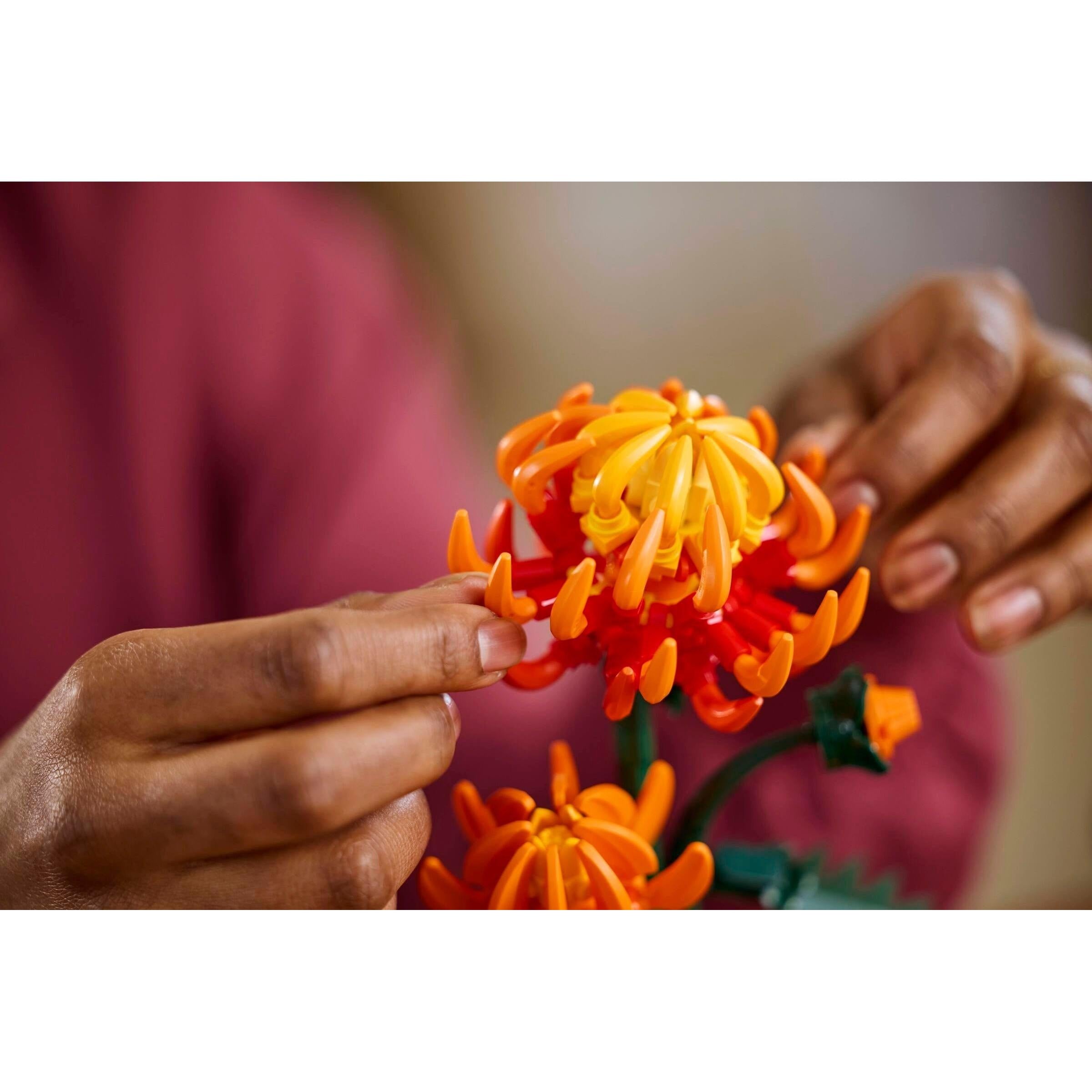 Chrysanthemum | Icons | 10368