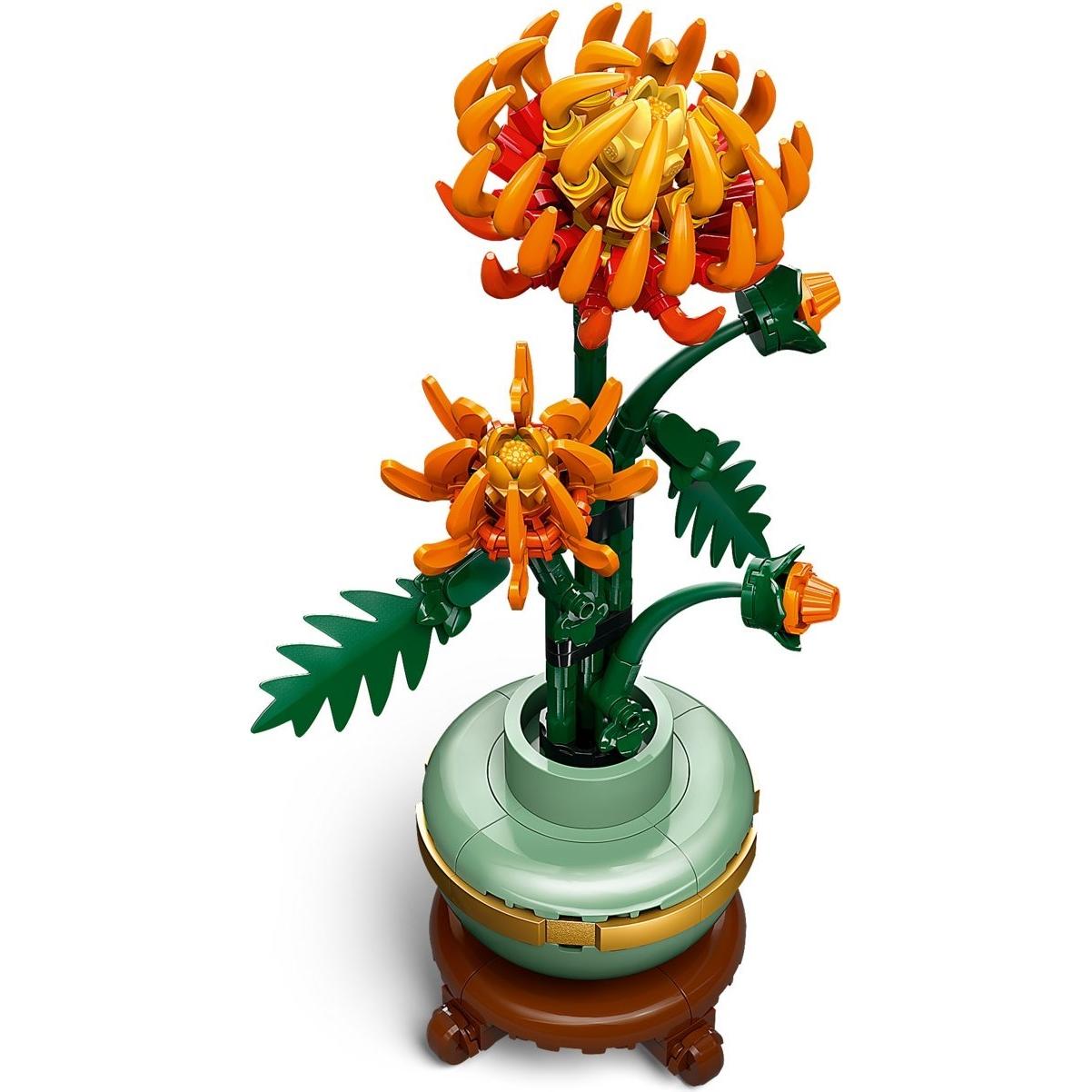 Chrysanthemum | Icons | 10368
