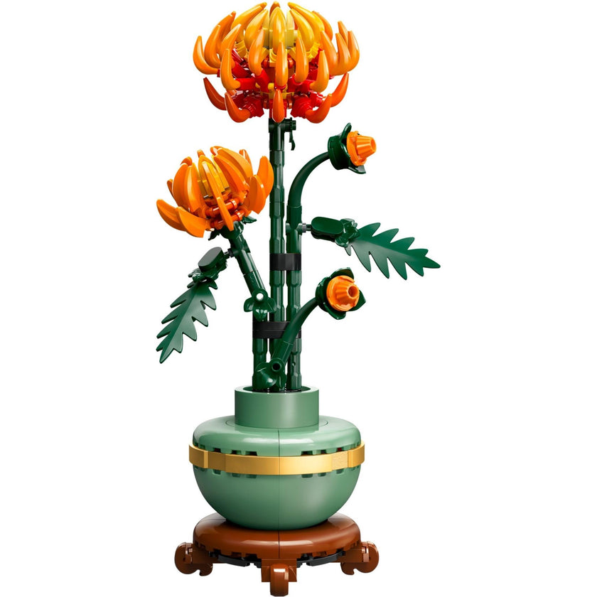 Chrysanthemum | Icons | 10368