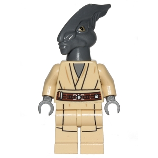 Coleman Trebor | sw0480