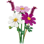 Cosmos Flowers | Botanicals | 11514