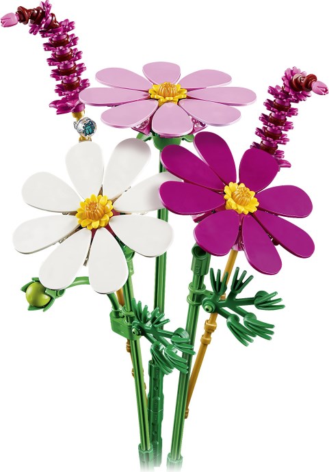 Cosmos Flowers | Botanicals | 11514