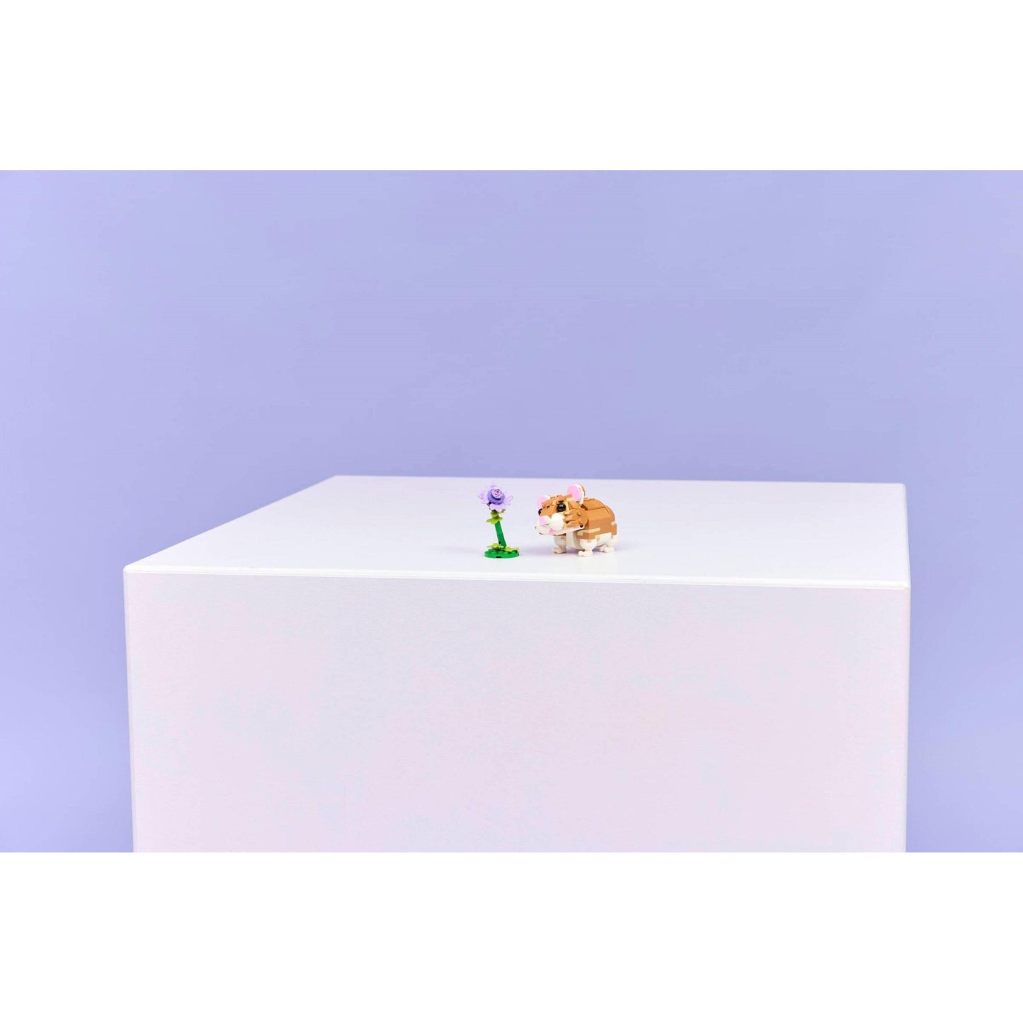 Cute Hamster with a Flower | Creator | 31376