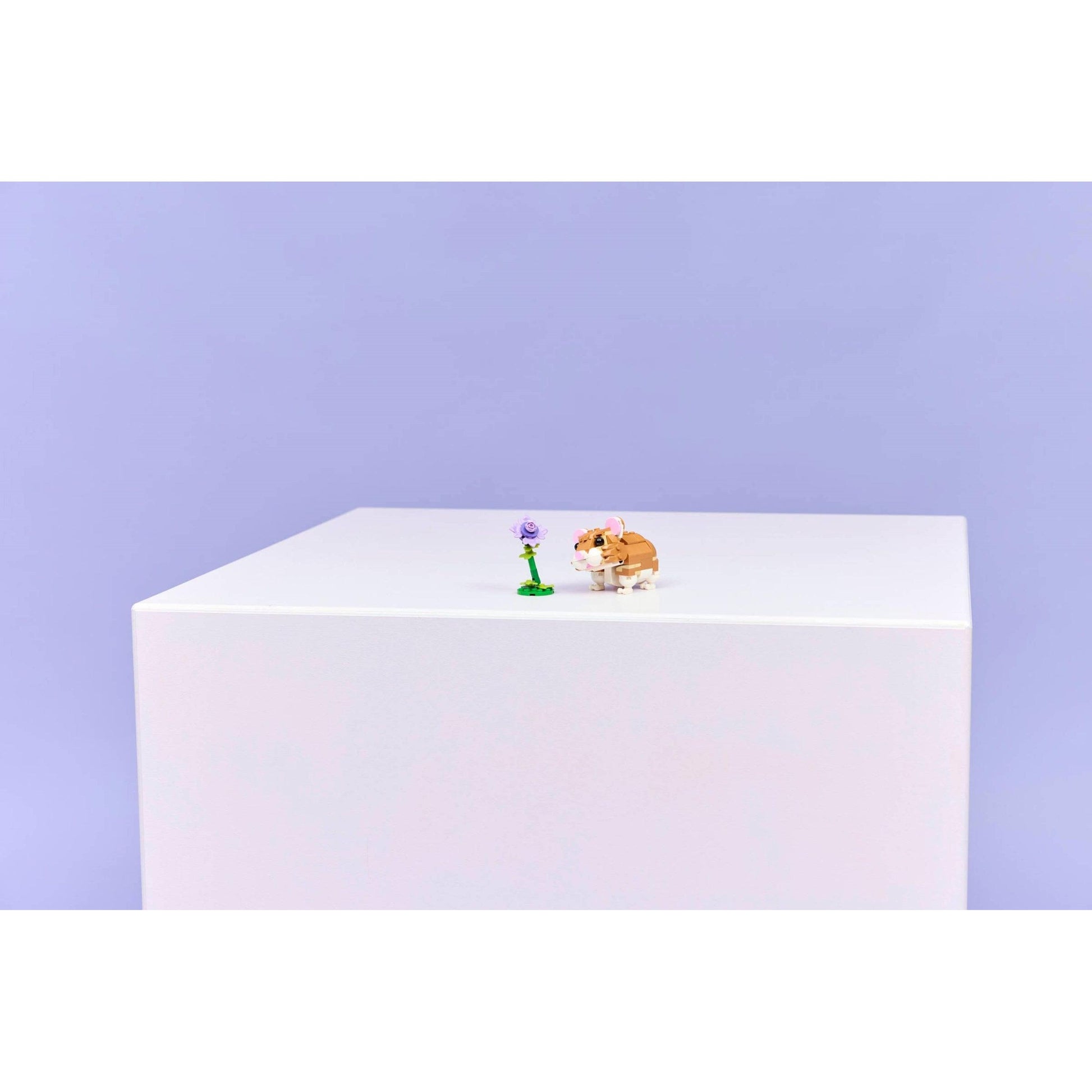 Hamster mignon avec une fleur | Créateur | 31376