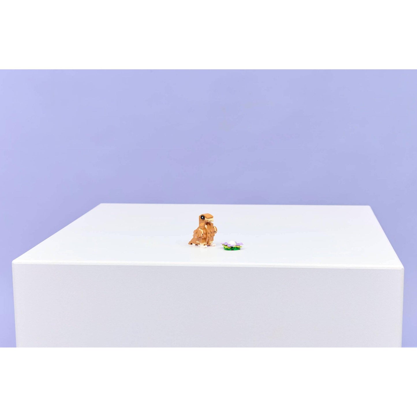 Cute Hamster with a Flower | Creator | 31376