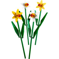 Daffodils | Icons | 40646