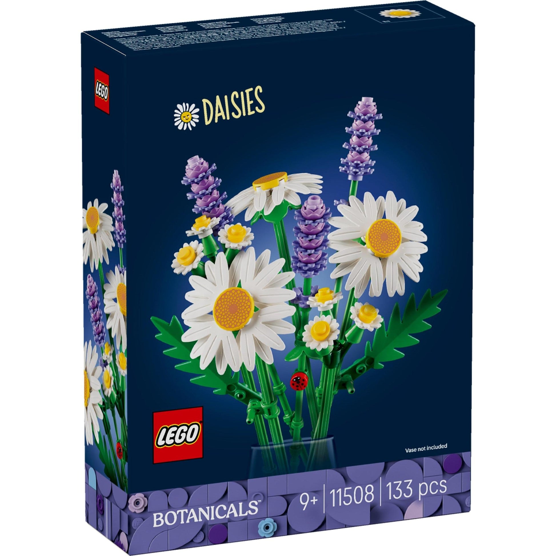 Marguerites | Plantes | 11508