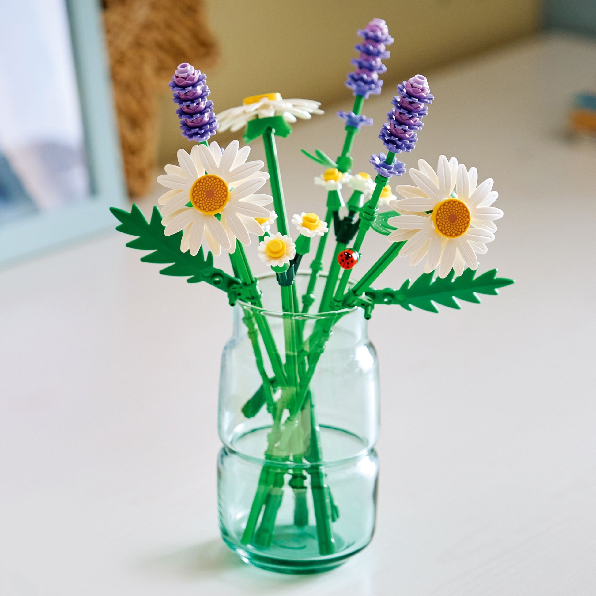 Marguerites | Plantes | 11508