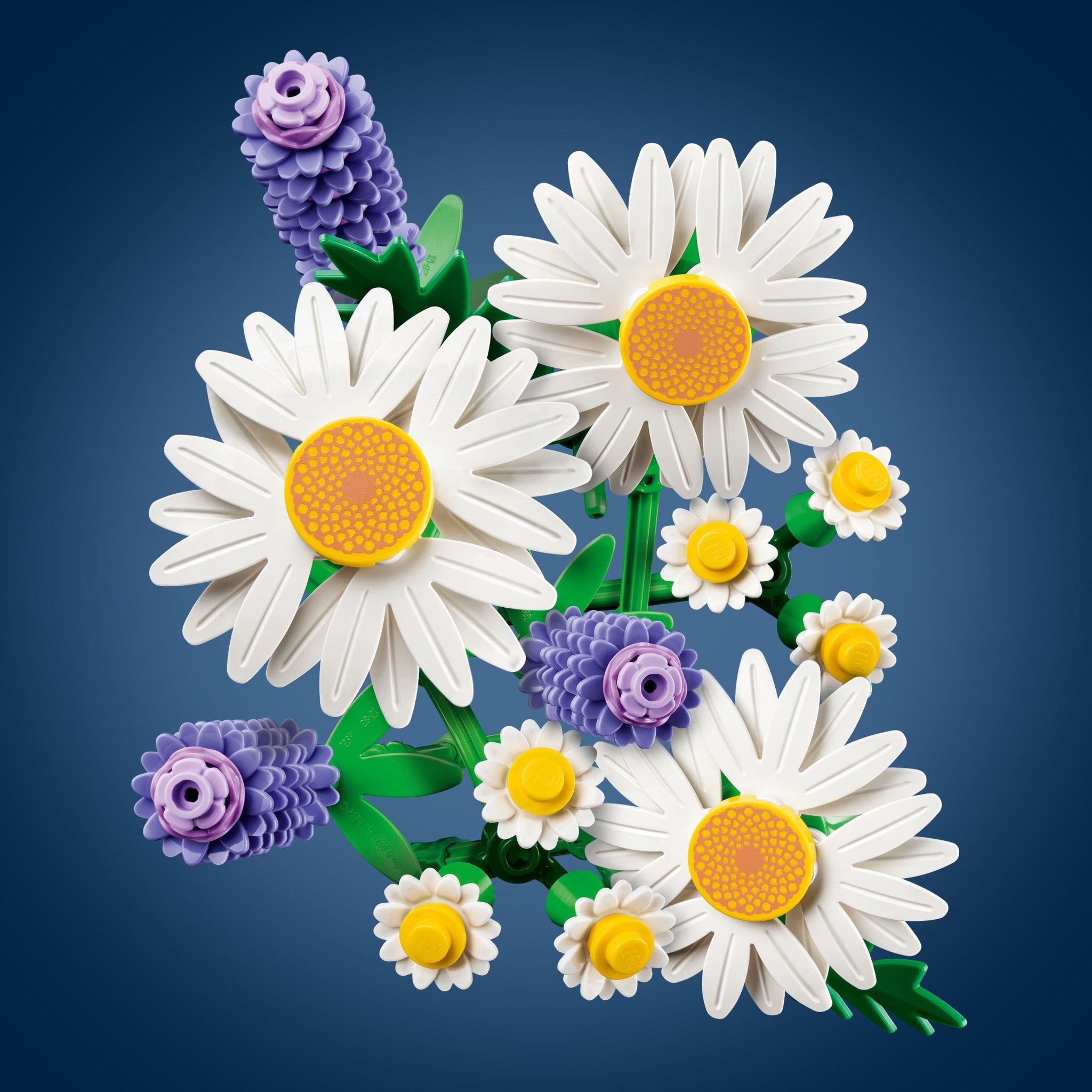 Daisies | Botanicals | 11508
