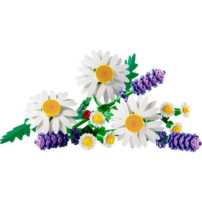 Daisies | Botanicals | 11508