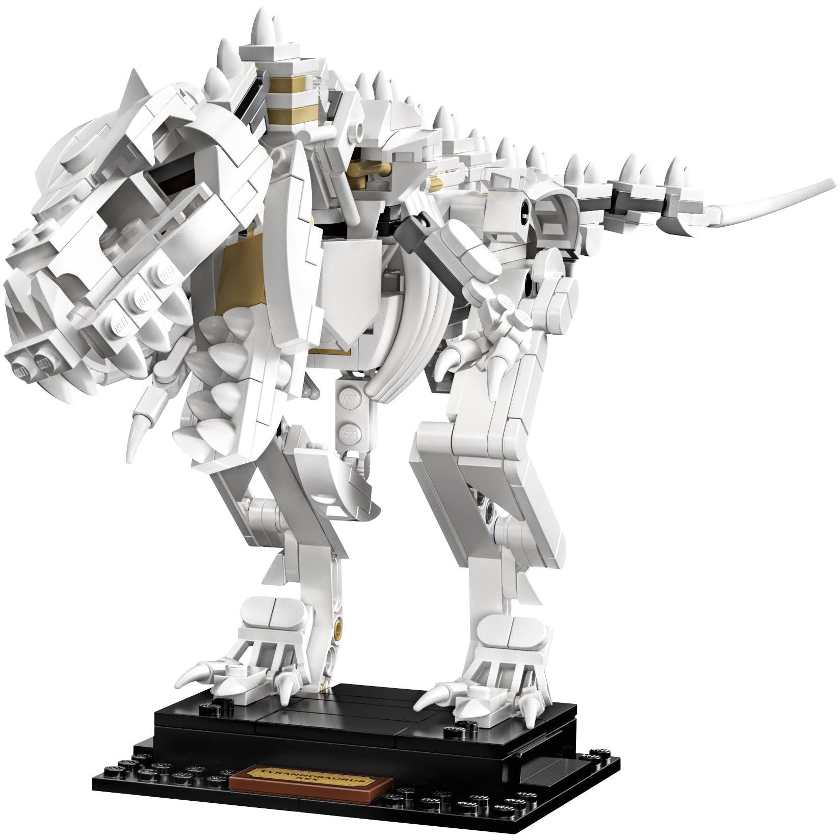 Dinosaur Fossils | Ideas | 21320