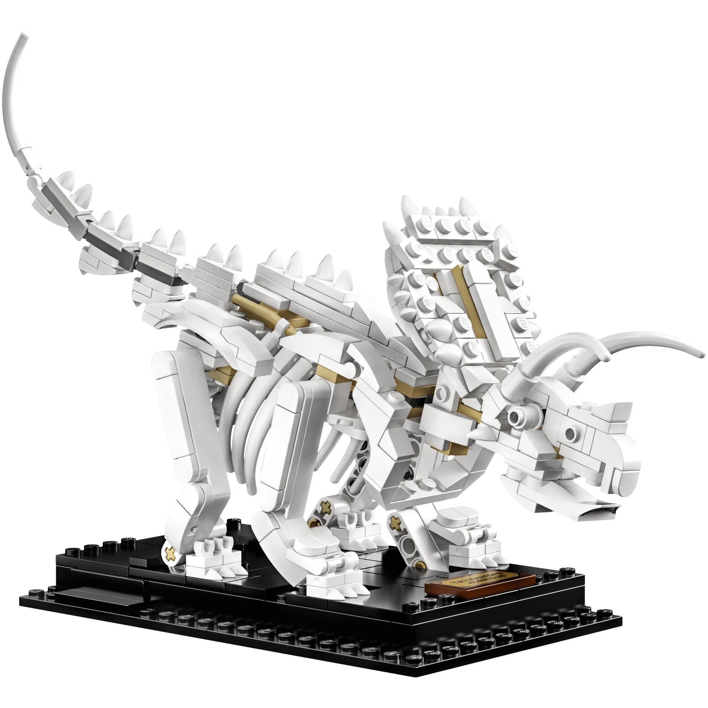 Dinosaur Fossils | Ideas | 21320