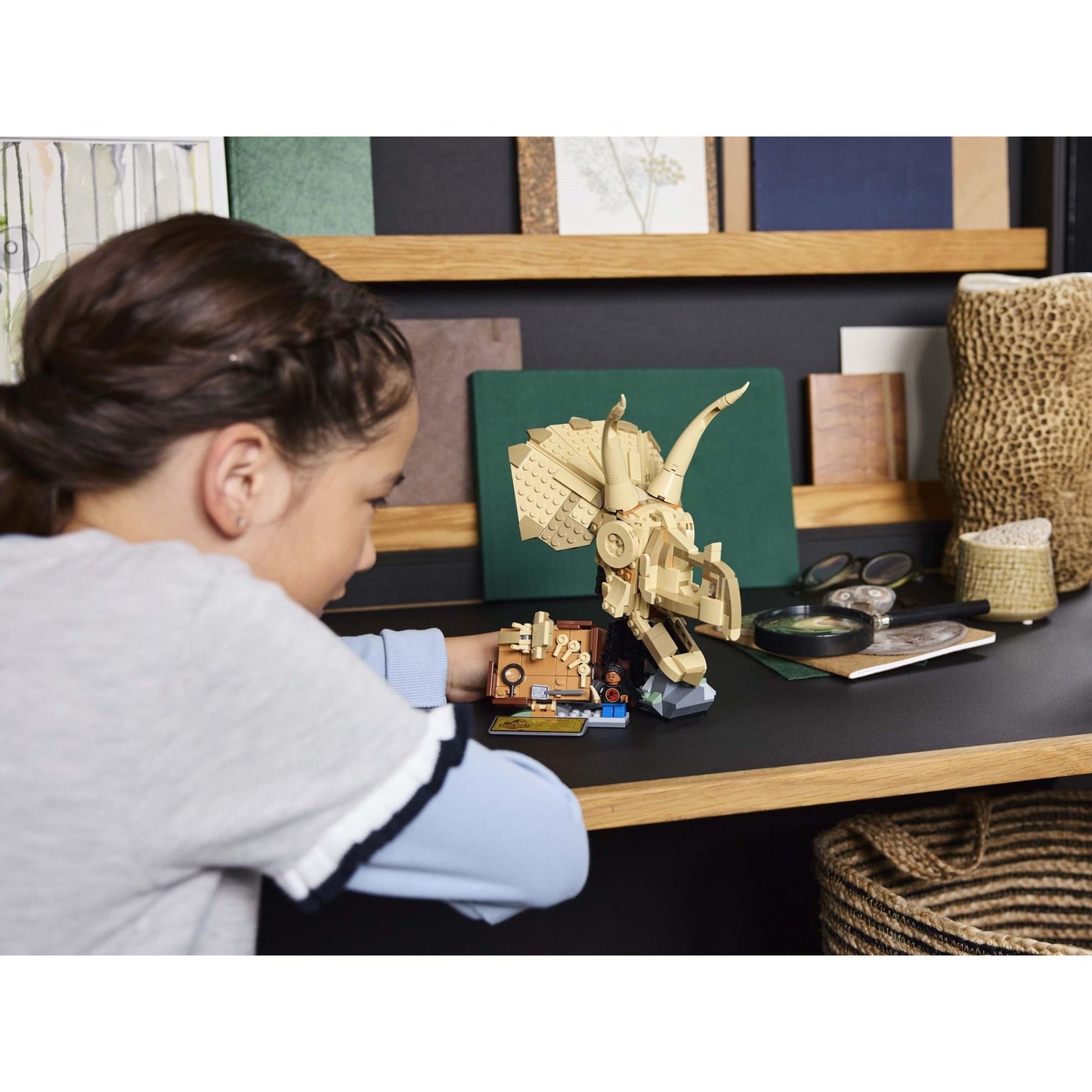 Dinosaur Fossils: Triceratops Skull | Jurassic World | 76969
