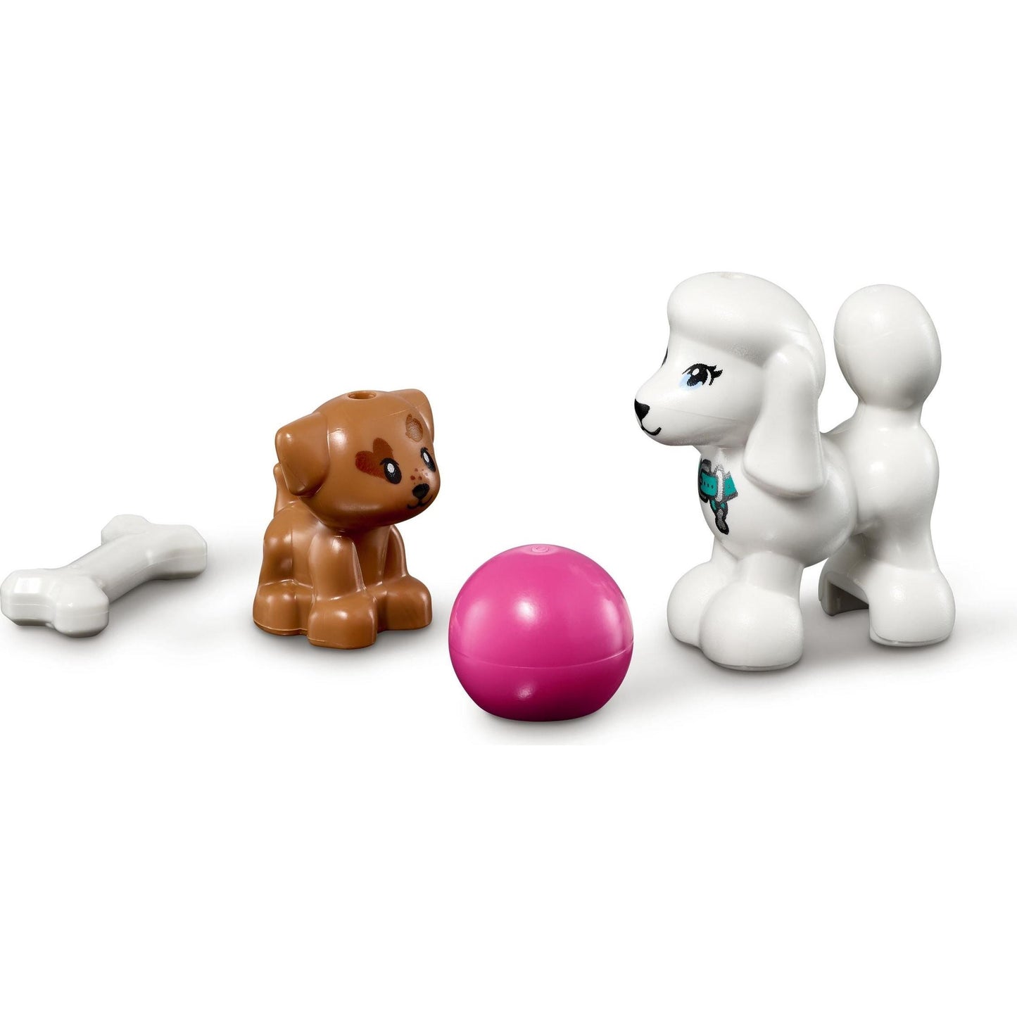 Doggy Day Care | Friends | 41691