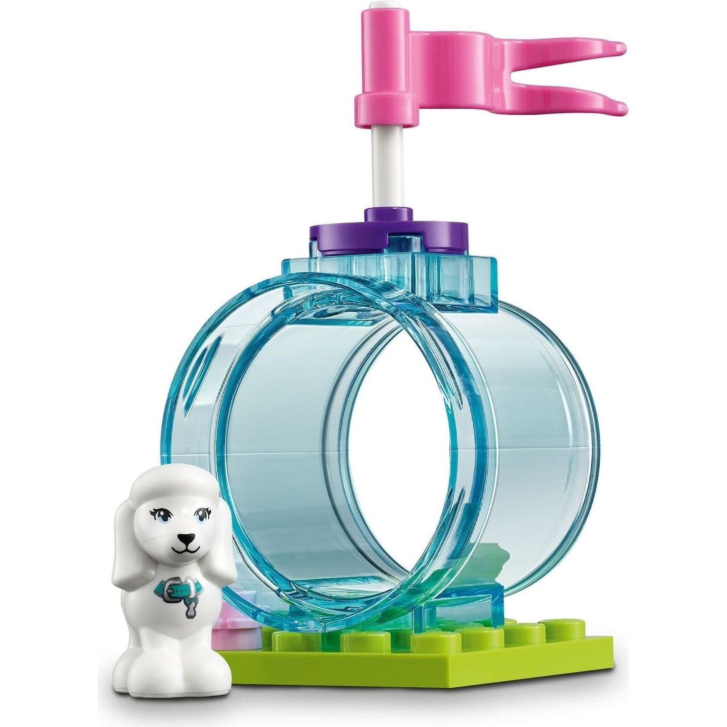 Doggy Day Care | Friends | 41691