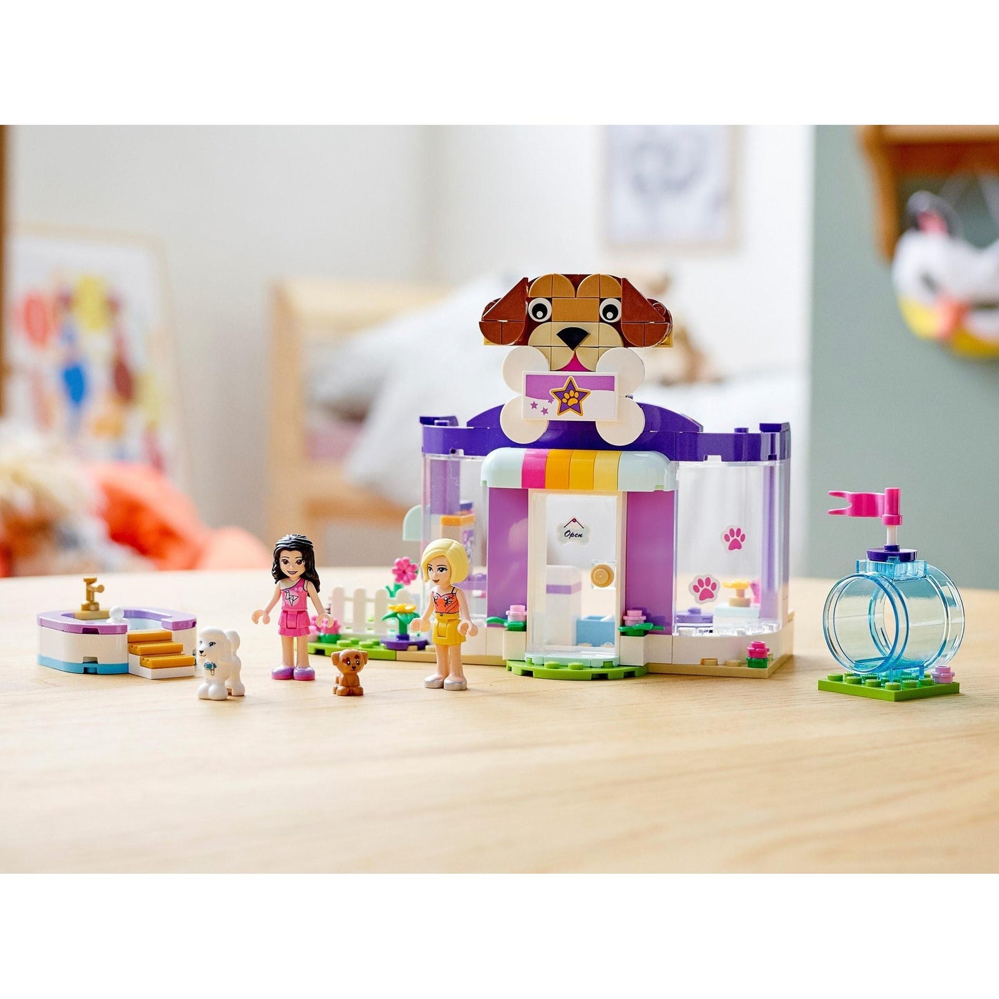Doggy Day Care | Friends | 41691