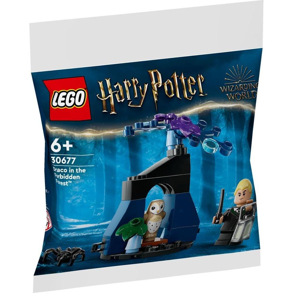 Draco in the Forbidden Forest | Harry Potter | 30677