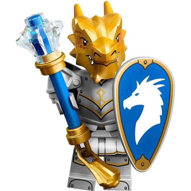 Dragonborn Paladin | Collectable Minifigures | 71047-4