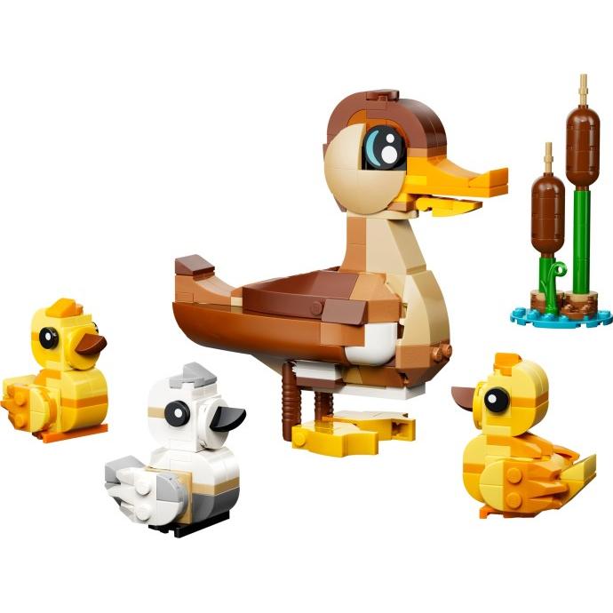Duck Family | Creator | 40885