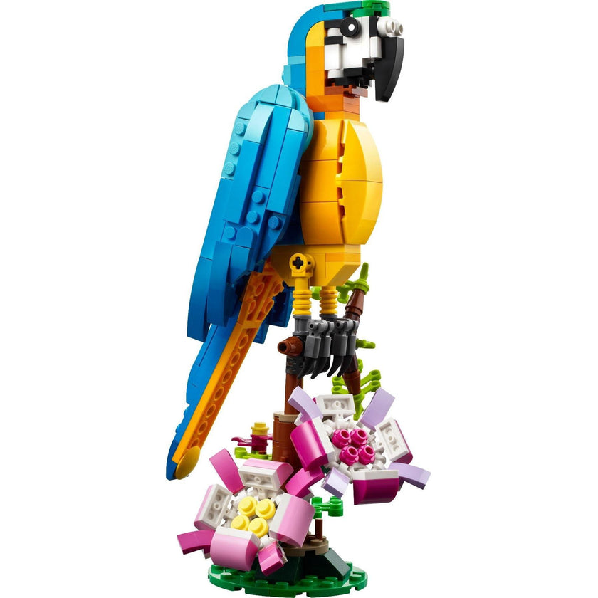 Exotic Parrot | Creator | 31136