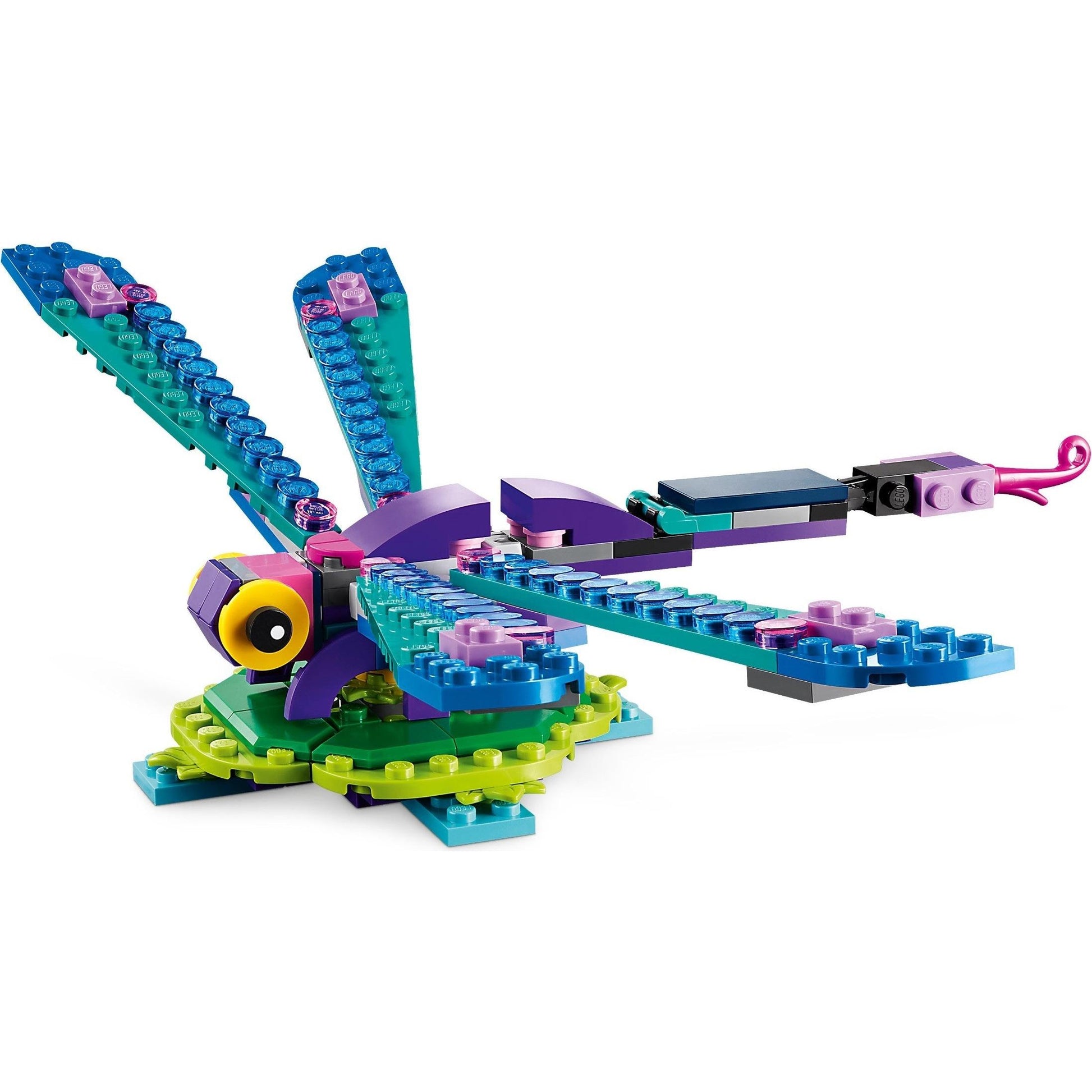 Exotic Peacock | Creator | 31157