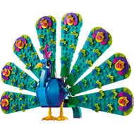 Exotic Peacock | Creator | 31157