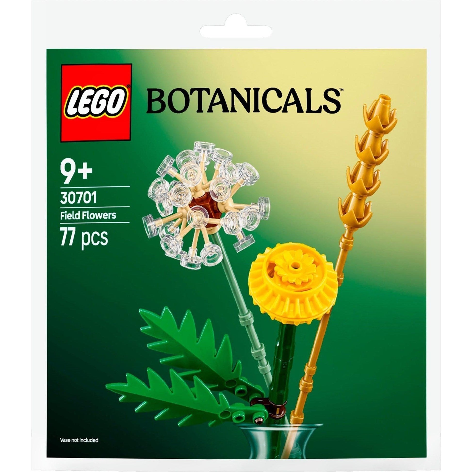Fleurs des champs | Botanique | 30701