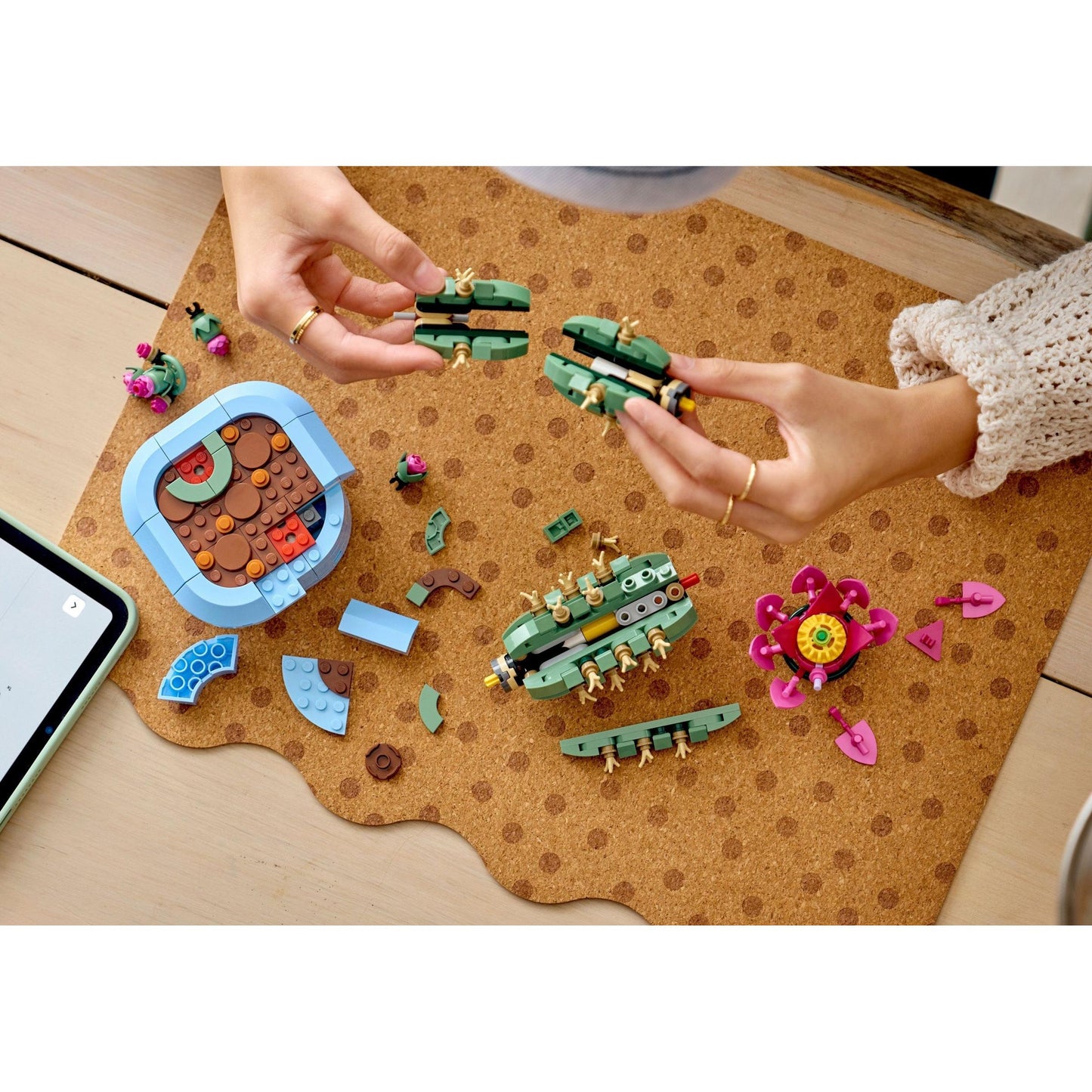 Flowering Cactus | Botanicals | 11509