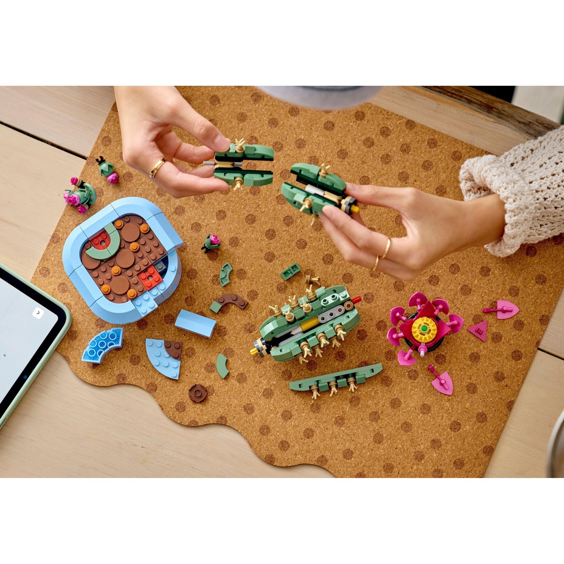 Cactus en fleurs | Botanique | 11509