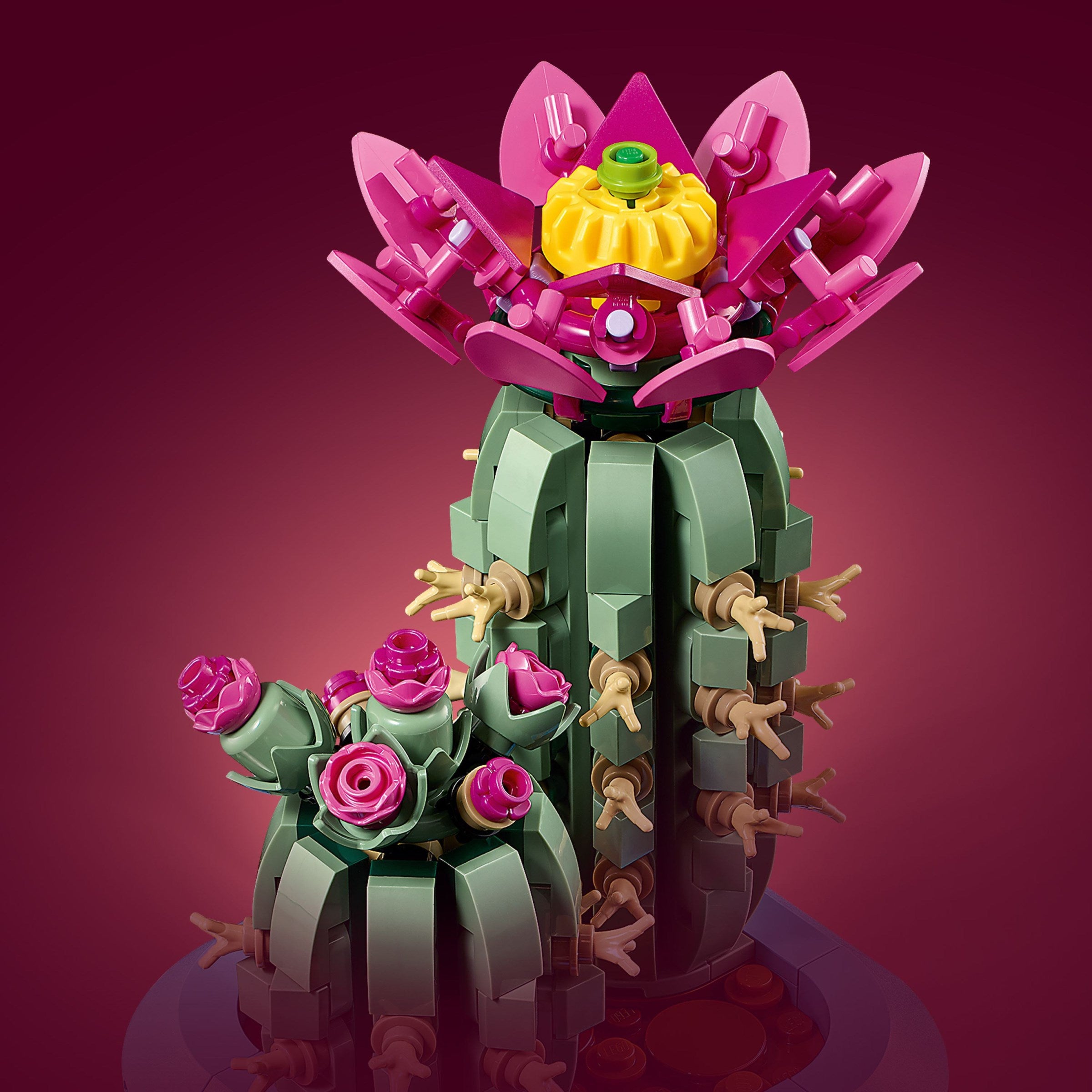 Flowering Cactus | Botanicals | 11509
