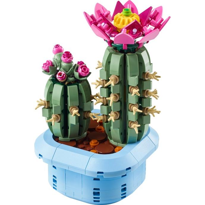 Flowering Cactus | Botanicals | 11509