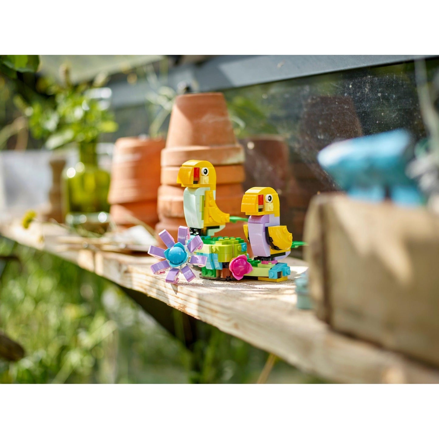 Flowers in Watering Can | Creator | 31149