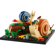 Escargots amicaux | Idées | 40788