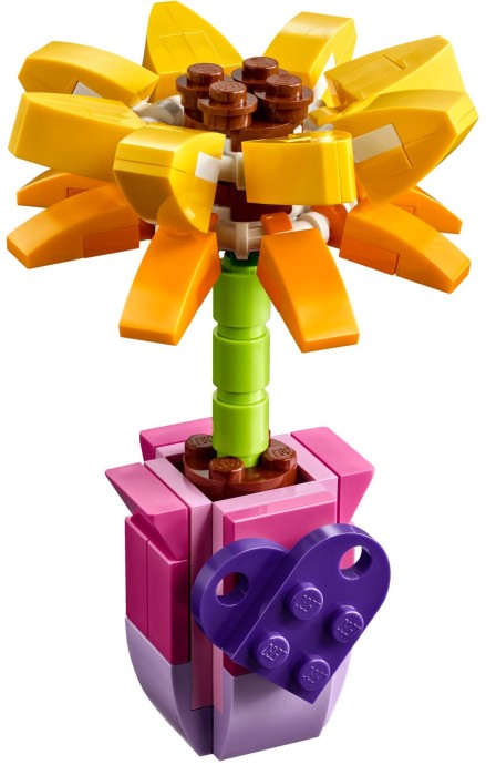 Friendship Flower | Friends | 30404