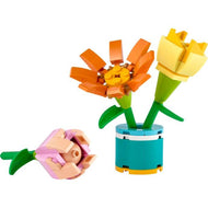 Friendship Flowers | Friends | 30634