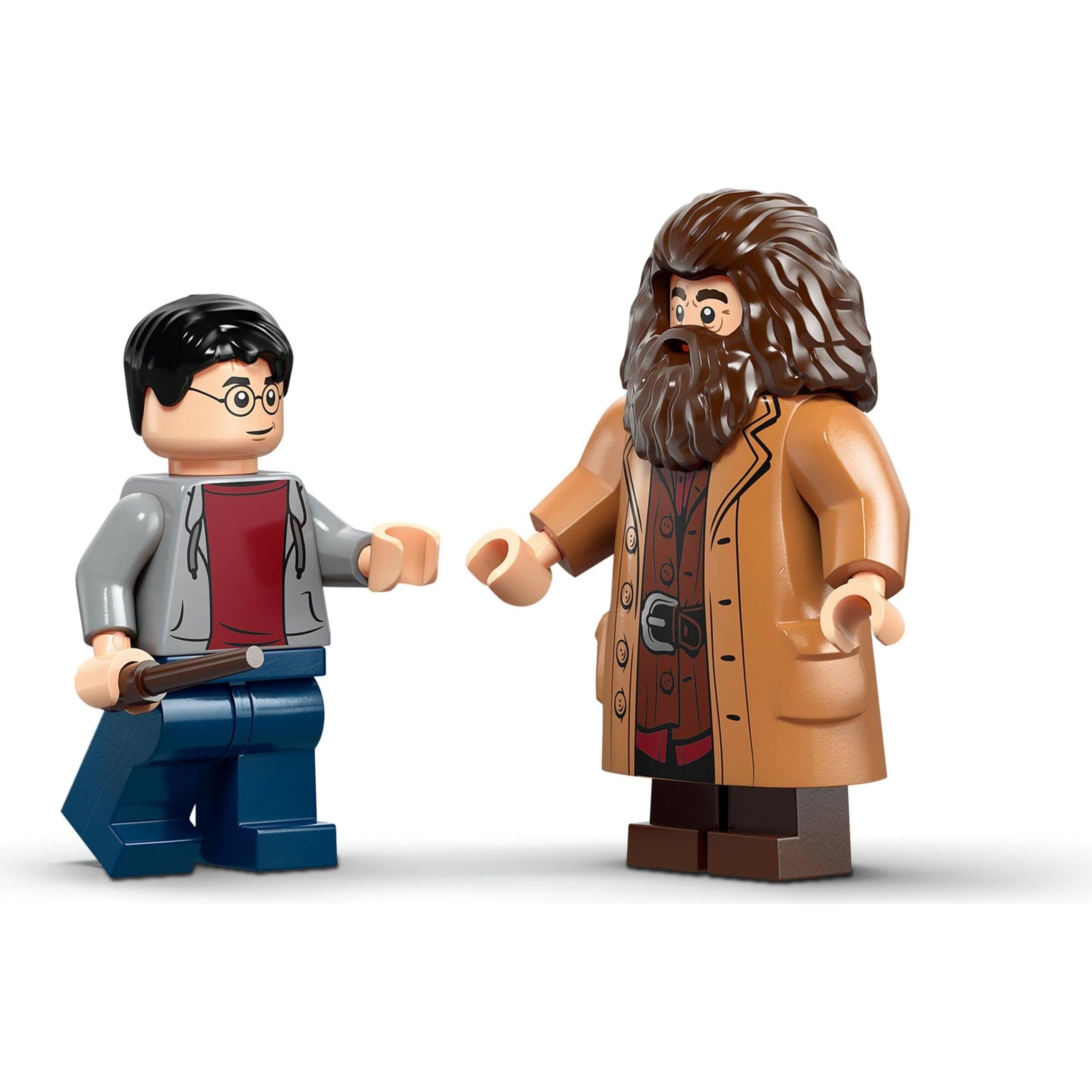 Hagrid & Harry's Privet Drive Escape | Harry Potter | 76459