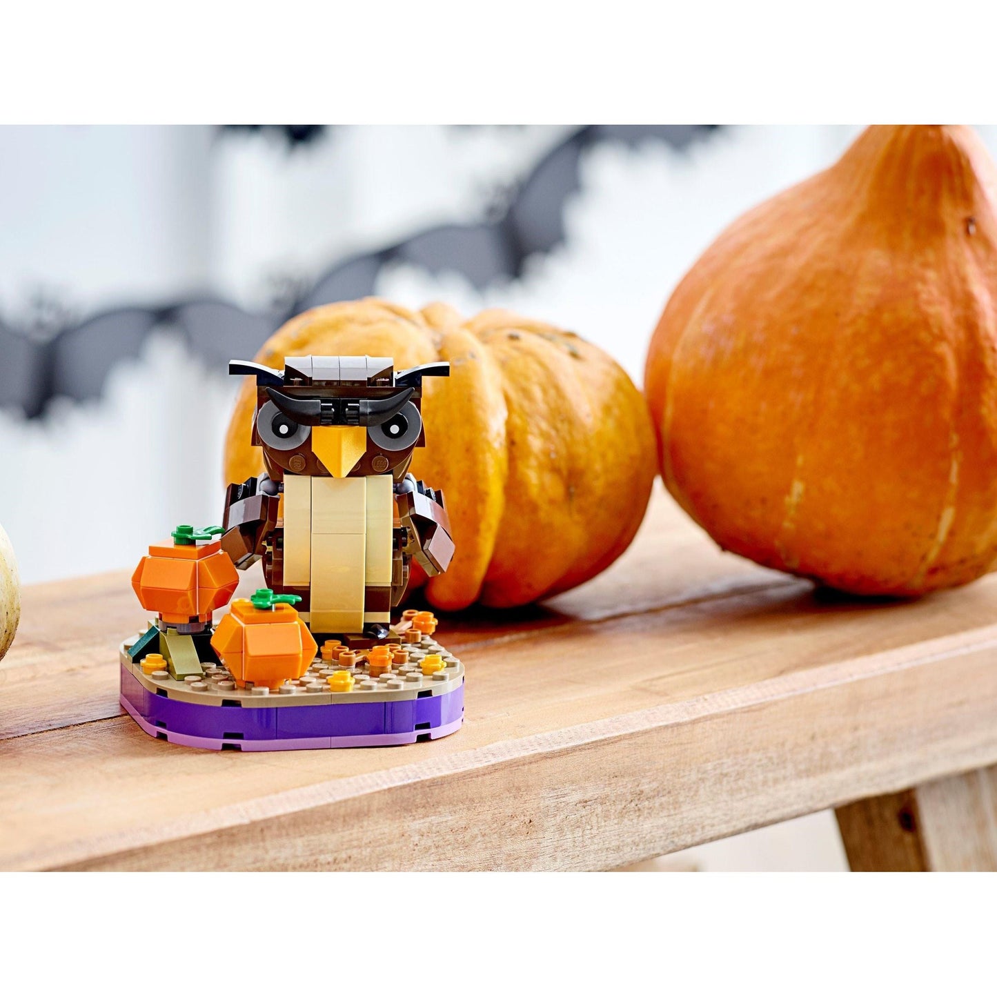 Halloween Owl | Seasonal | 40497