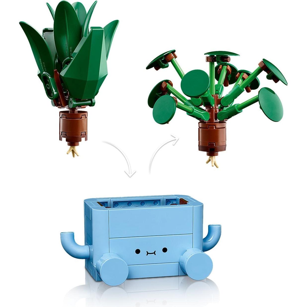 Happy Plants | Botanicals | 10349