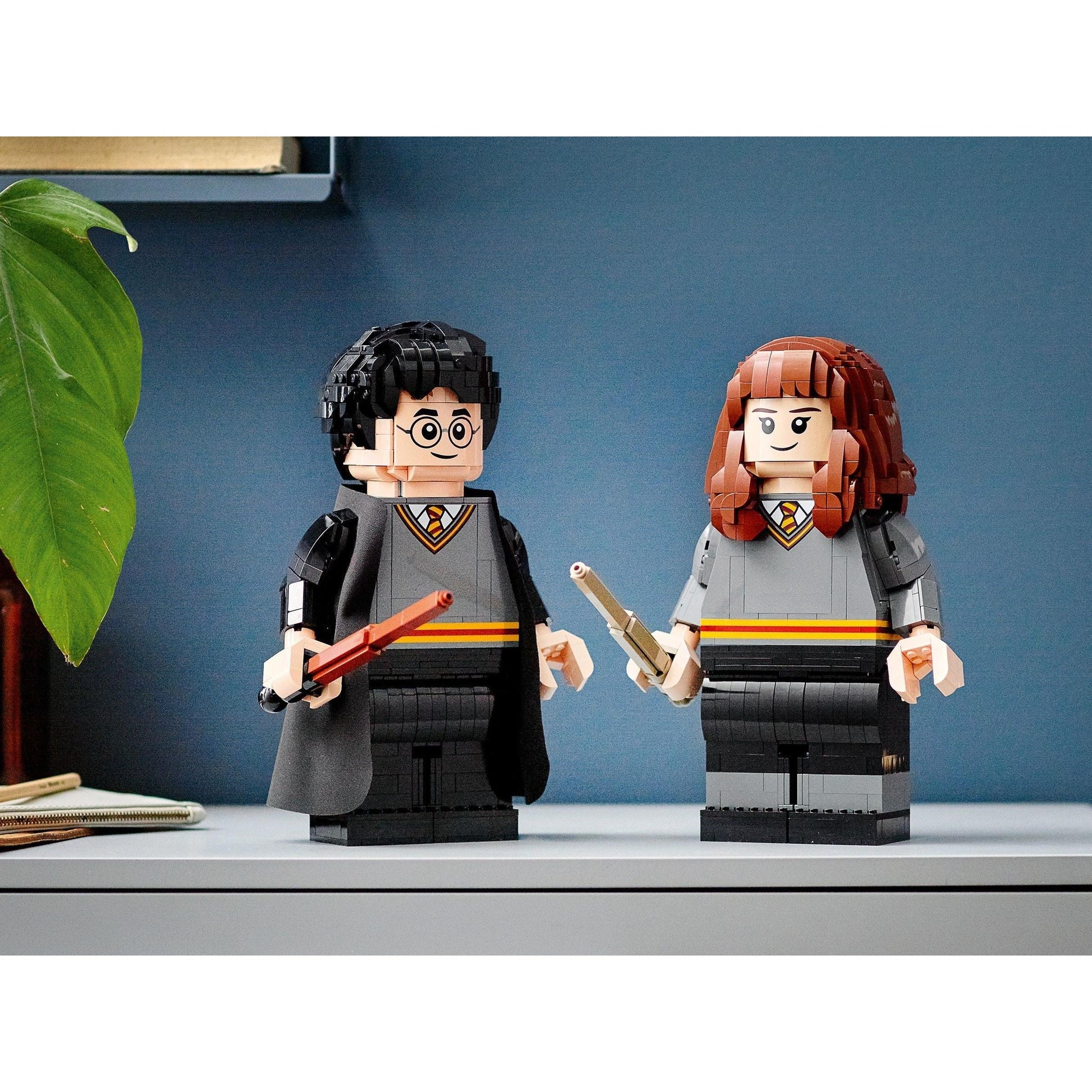 Harry Potter et Hermione Granger | Harry Potter | 76393