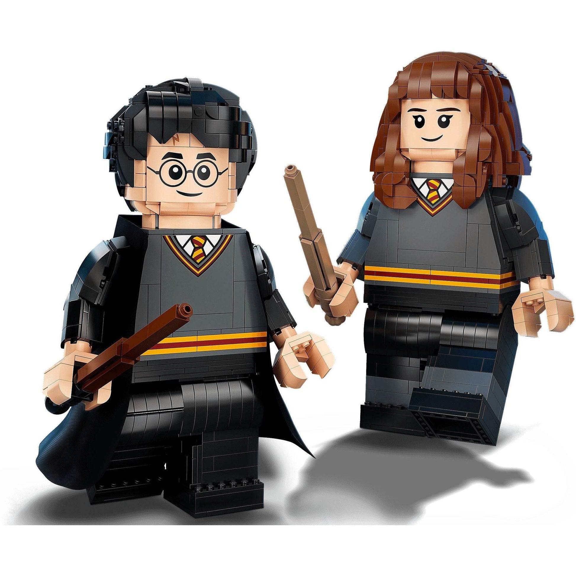 Harry Potter et Hermione Granger | Harry Potter | 76393