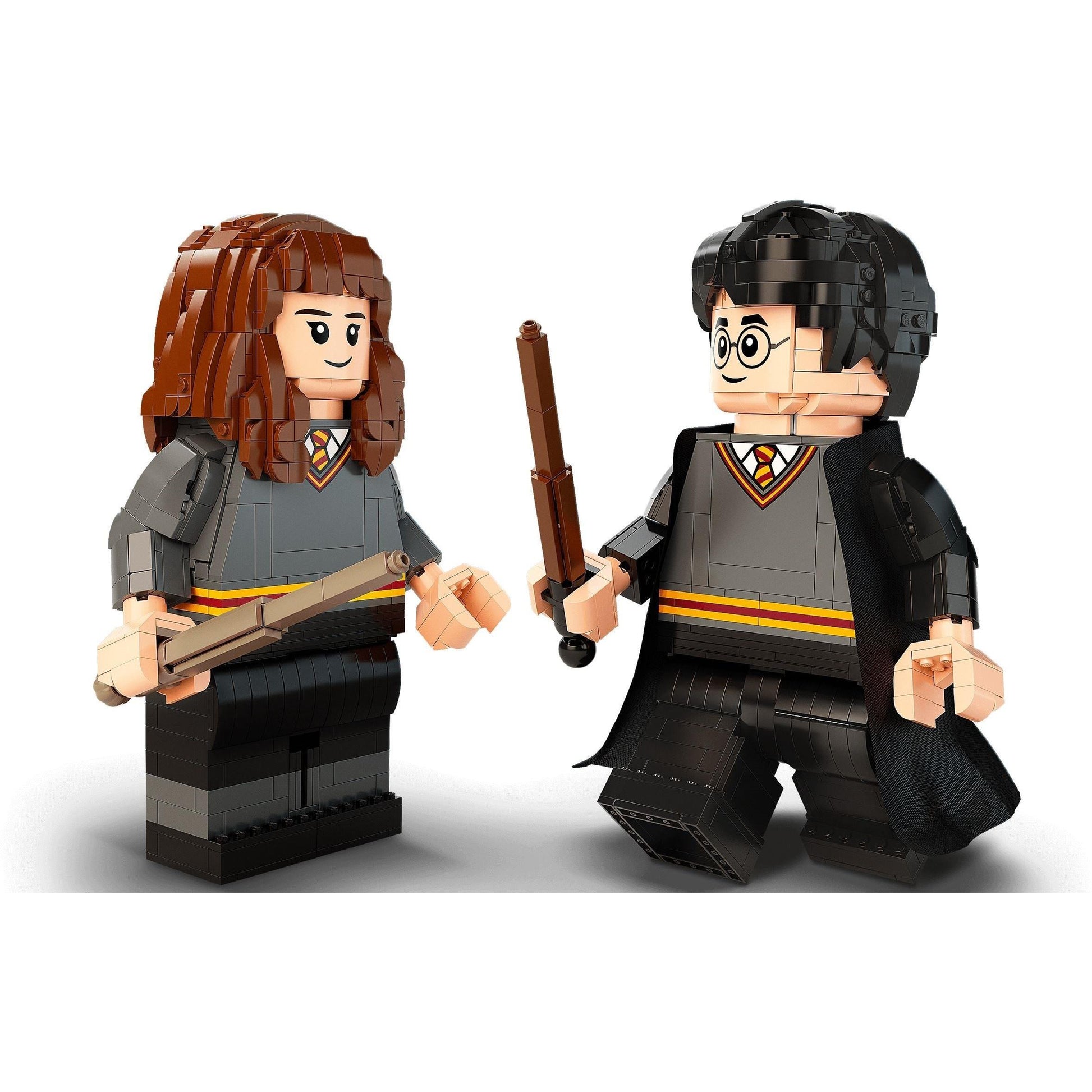 Harry Potter et Hermione Granger | Harry Potter | 76393