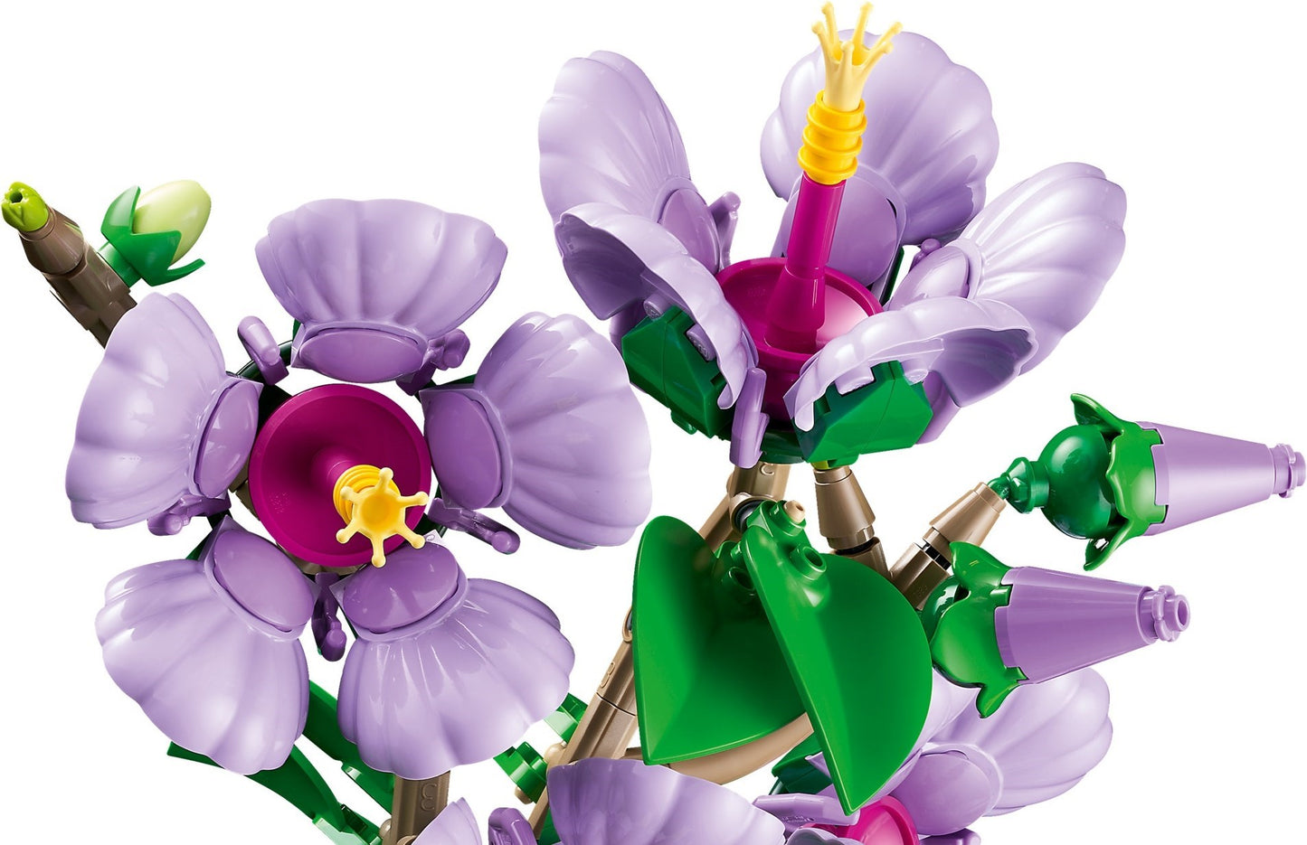 Hibiscus | Botanicals | 10372