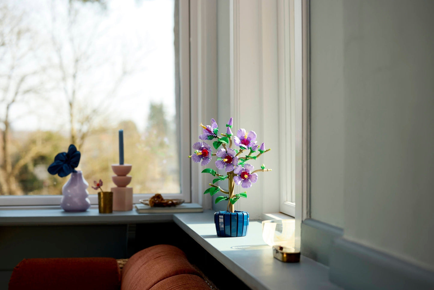 Hibiscus | Botanicals | 10372