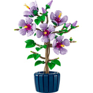 Hibiscus | Plantes | 10372