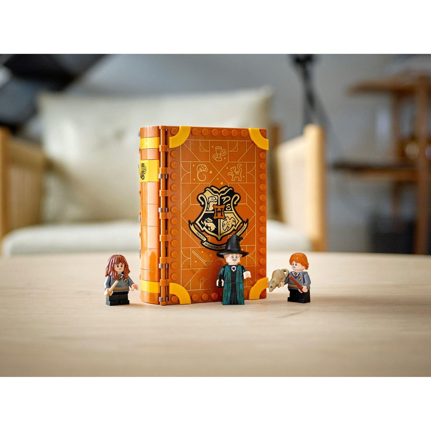 Hogwarts Moment: Transfiguration Class | Harry Potter | 76382