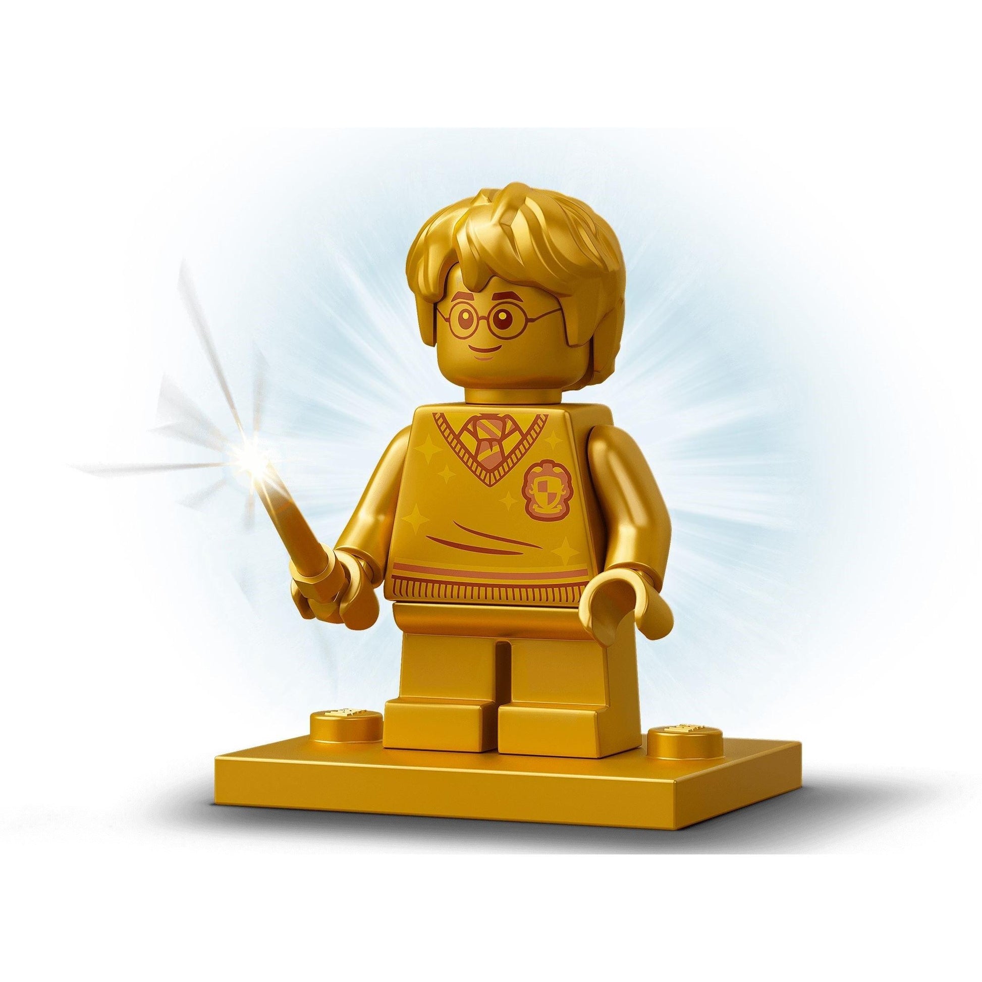 Poudlard : Erreur avec le Polynectar | Harry Potter | 76386