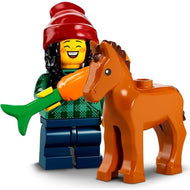 Cheval et palefrenier | Figurines à collectionner | 71032-5